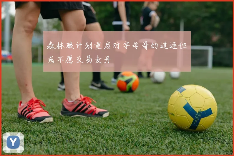 森林狼计划重启对字母哥的追逐但或不愿交易麦丹